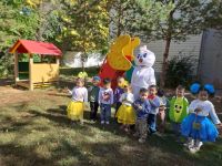 WhatsApp_2025-09-24__155010_1d7bde4f